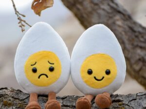 عروسک تخم مرغ خوشحال و غمگین برند کوکی