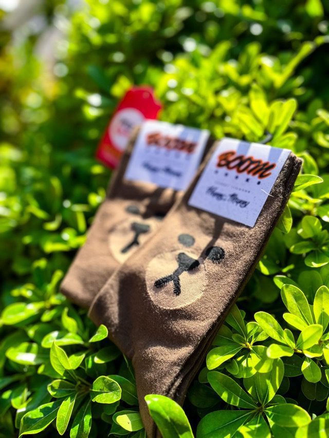 IMG 1828 فروشگاه پدی شاپ