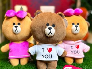 عروسک خرس چوکو و براون برند کوکی